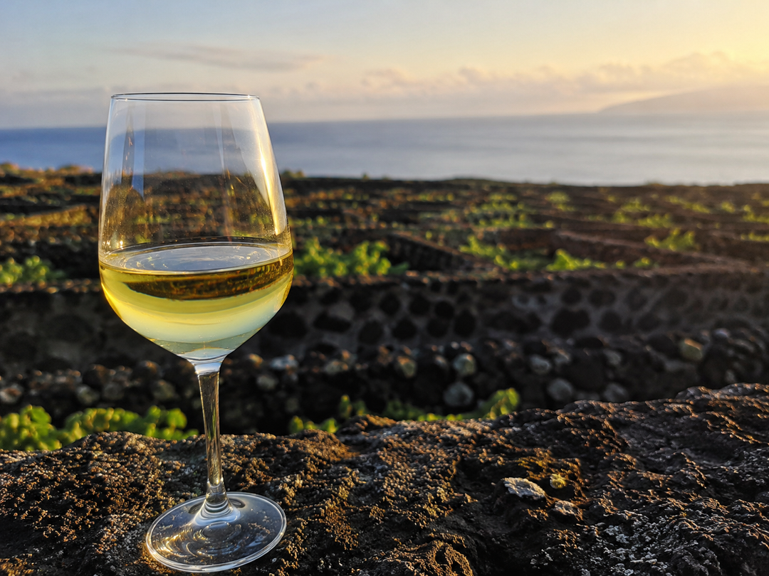 Vinhos que sabem a mar: os brancos vulcânicos dos Açores