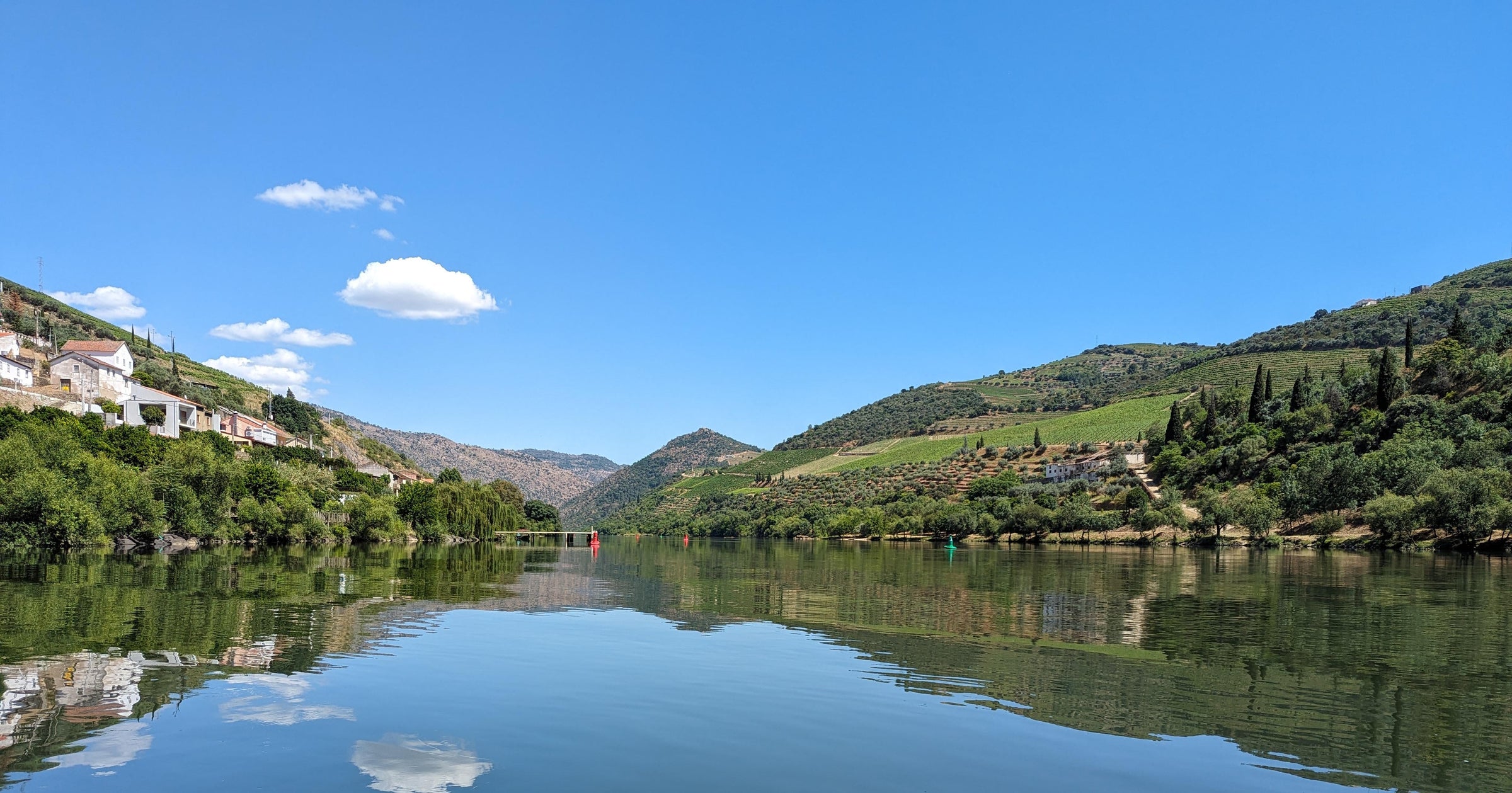 Vinhos do Douro