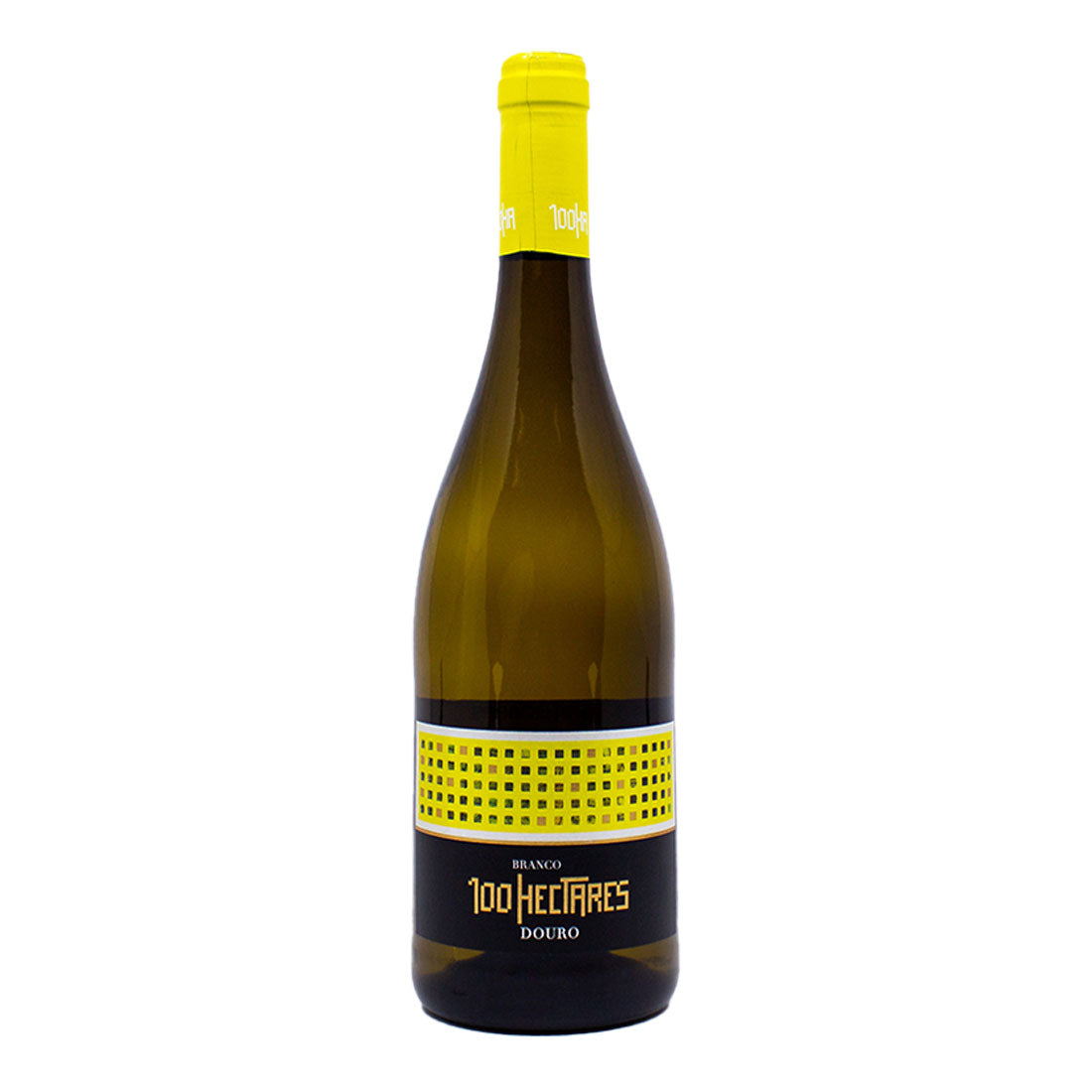 100 Hectares Branco 2023