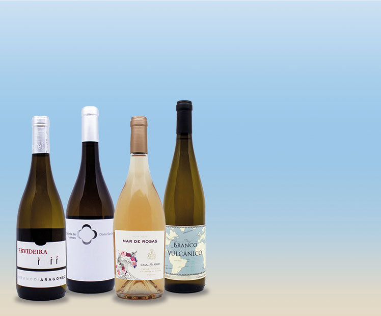Promoção de verão | Vinhos