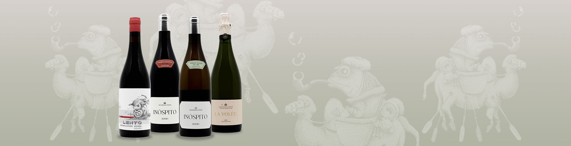Geographic Wines