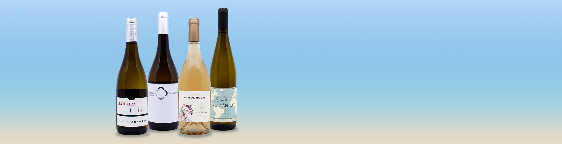 Promoção de verão | Vinhos