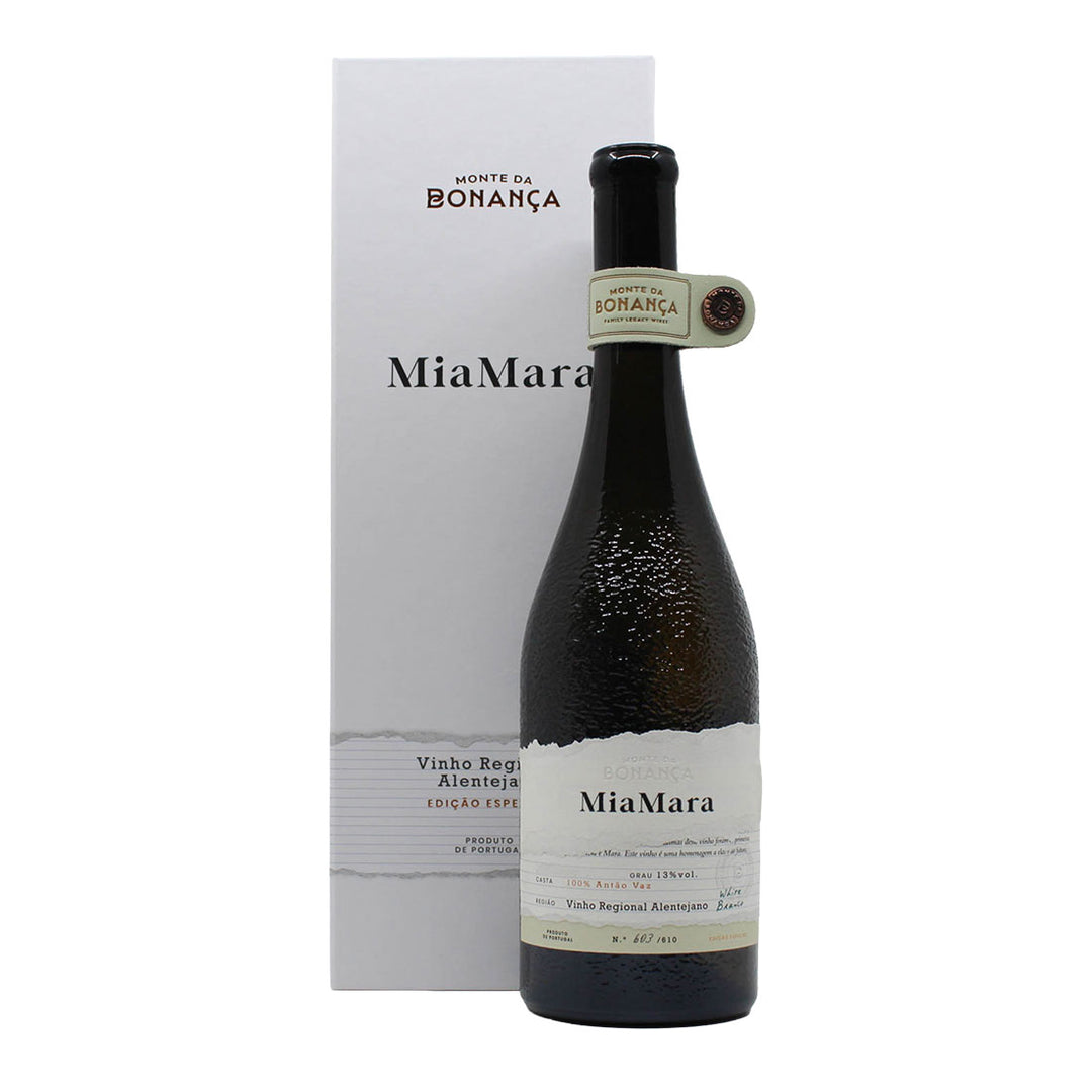 Miamara Antão Vaz 2023 | Caixa