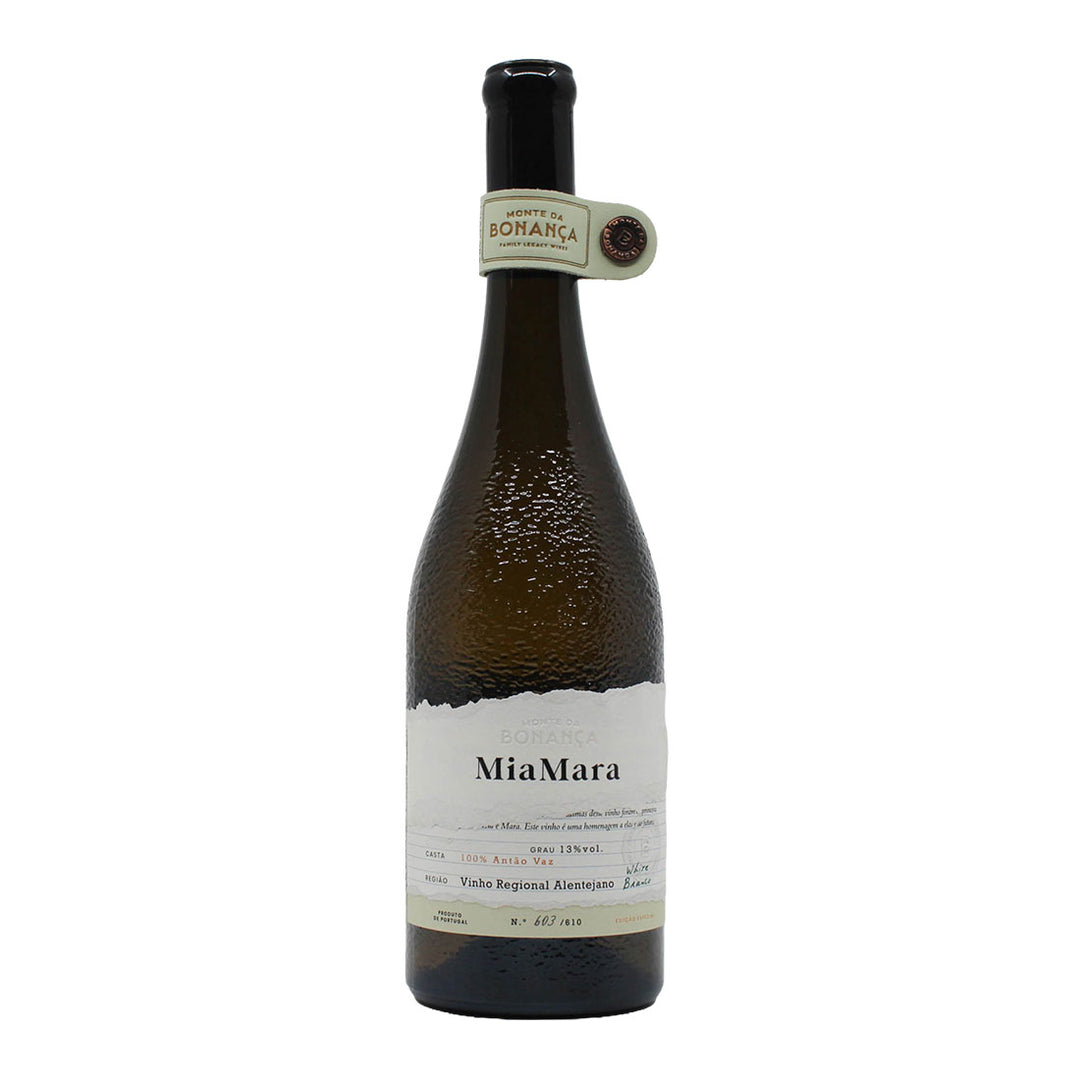 Miamara Antão Vaz 2023