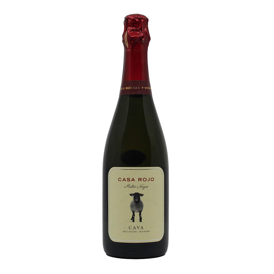 Molto Negre 2024