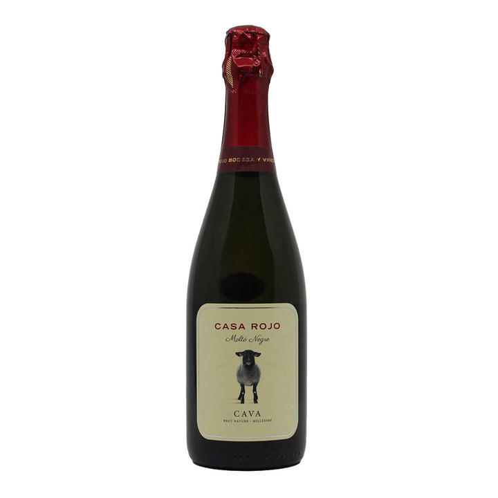 Molto Negre 2024