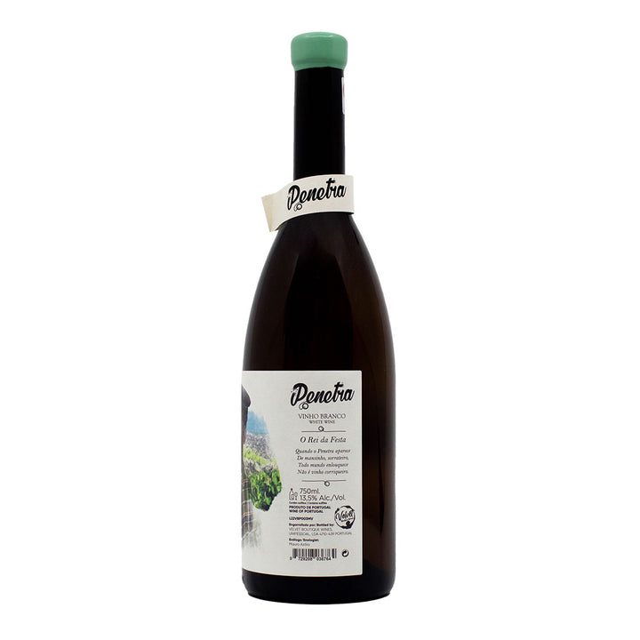 Penetra Malvasia 2022 | Contra-rótulo