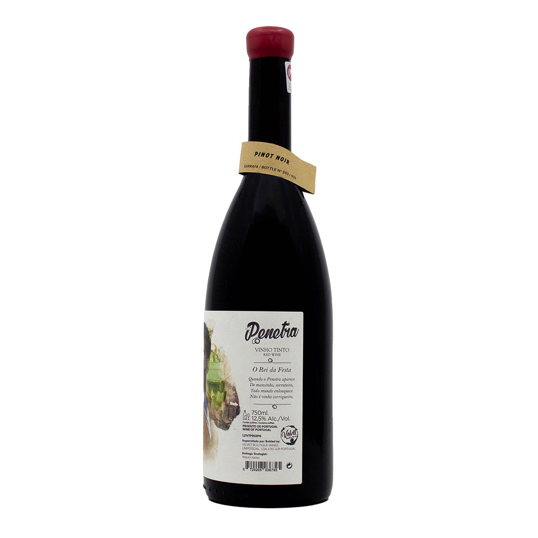 Penetra Pinot Noir 2022 | Contra-rótulo