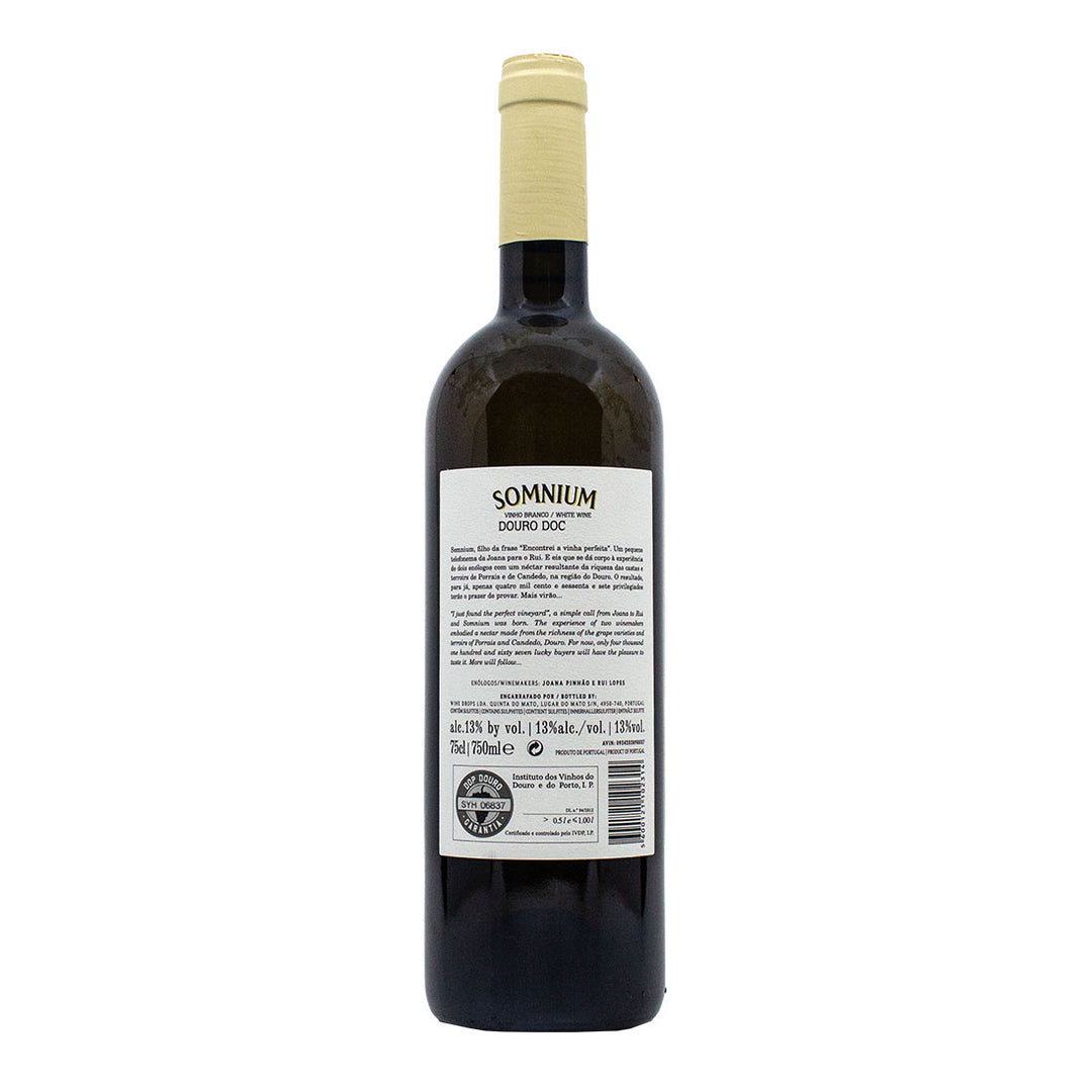 Somnium Branco 2020