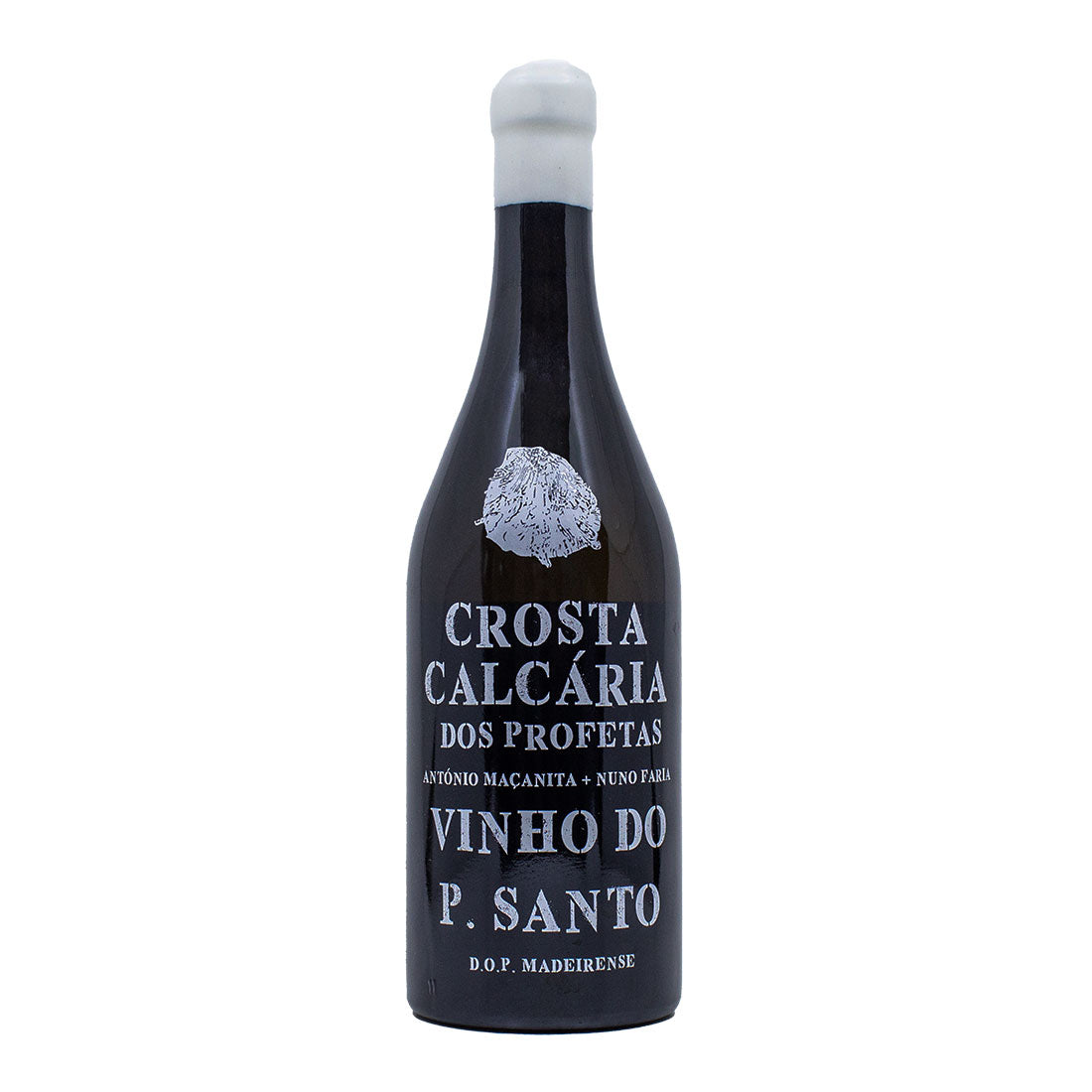Crosta Calcária 2022