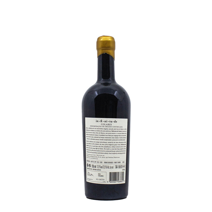 Infinitude Malvasia Colares 2020 | Contra-rótulo