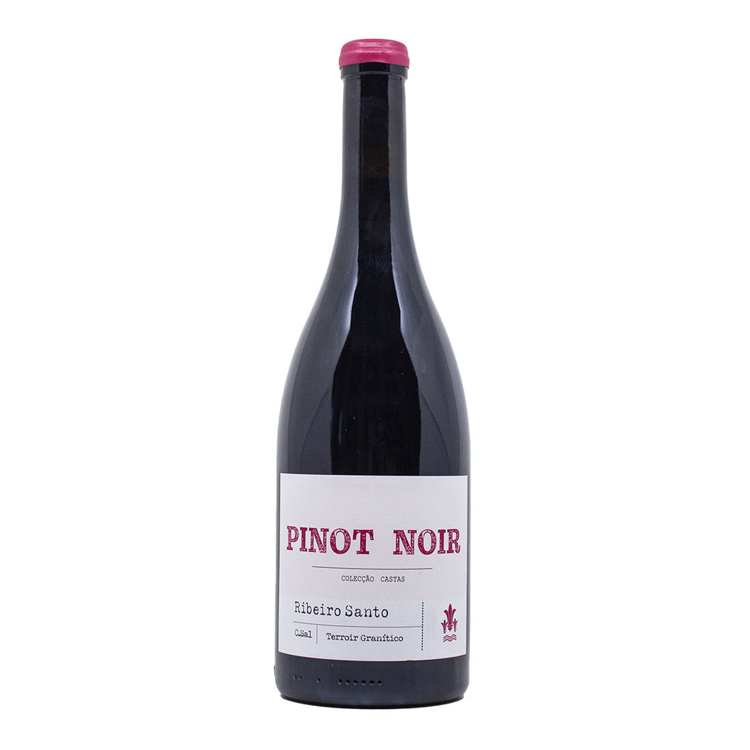 Ribeiro Santo Pinot Noir 2017